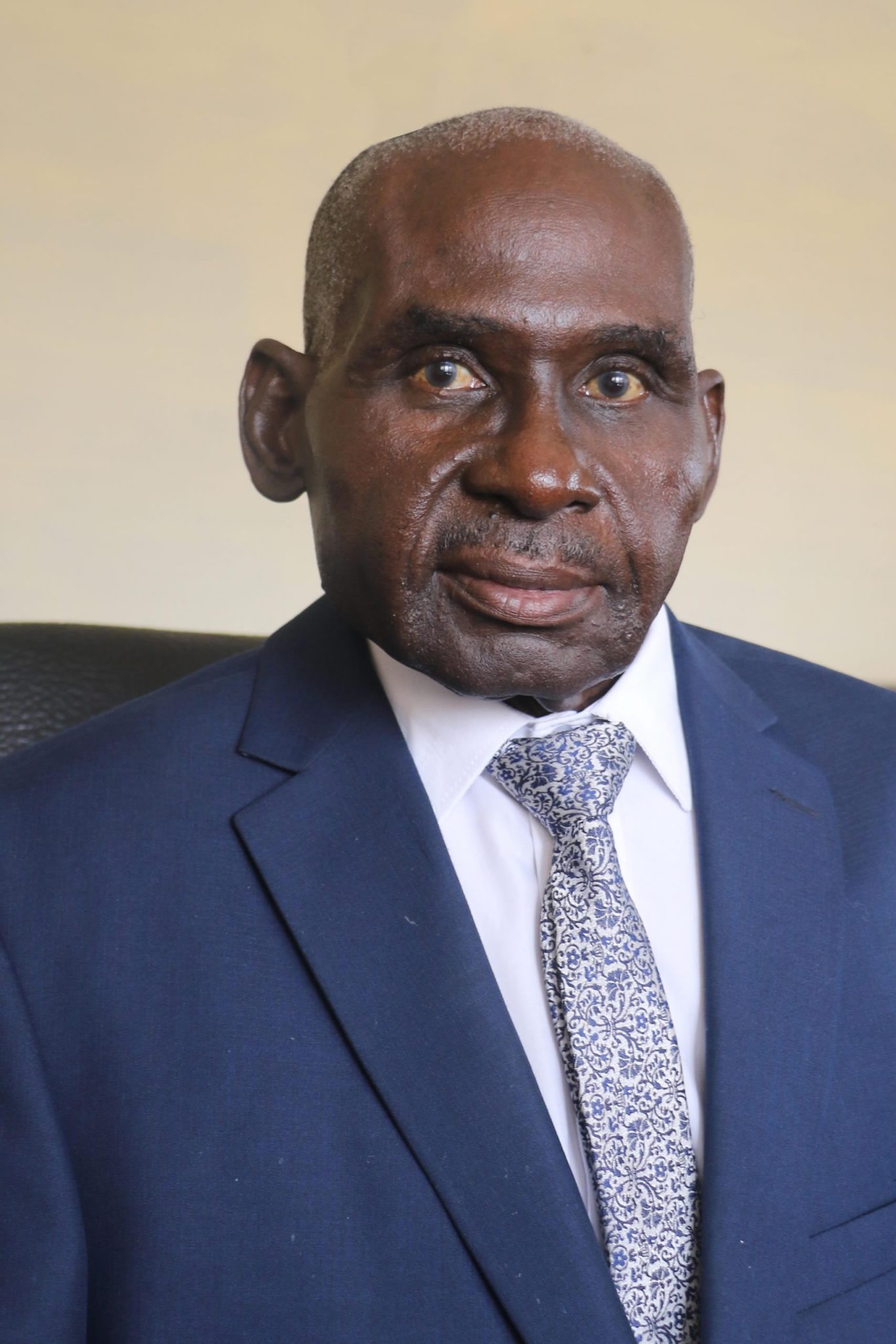 Hon Deputy Minister of Defence Brigadier General (Retired) Levi Mayihlome