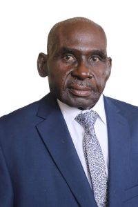 Hon Deputy Minister of Defence Brigadier General (Retired) Levi Mayihlome