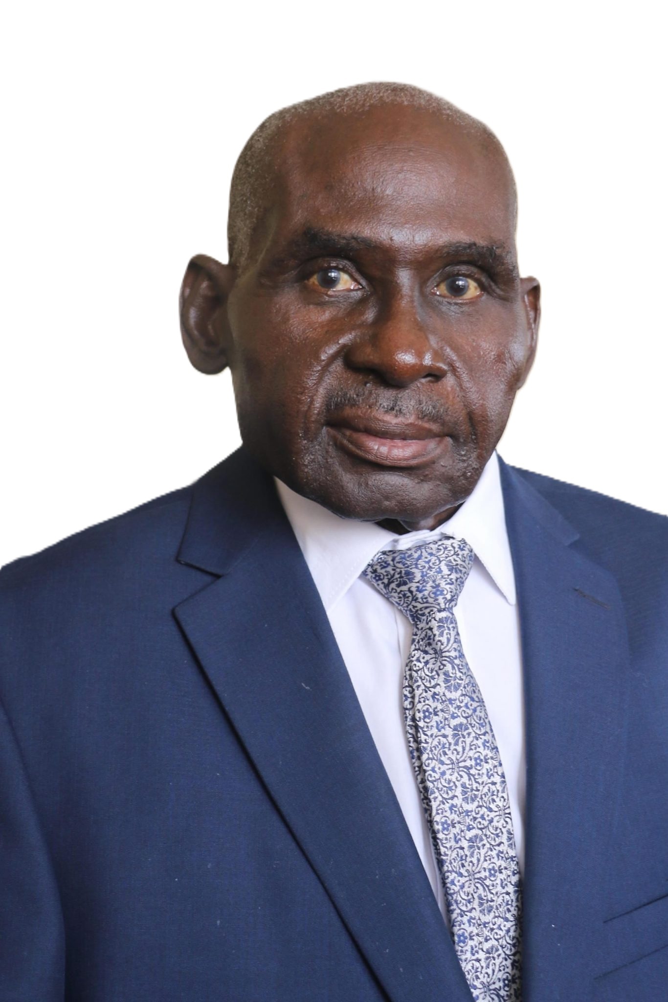 Hon Deputy Minister of Defence Brigadier General (Retired) Levi Mayihlome
